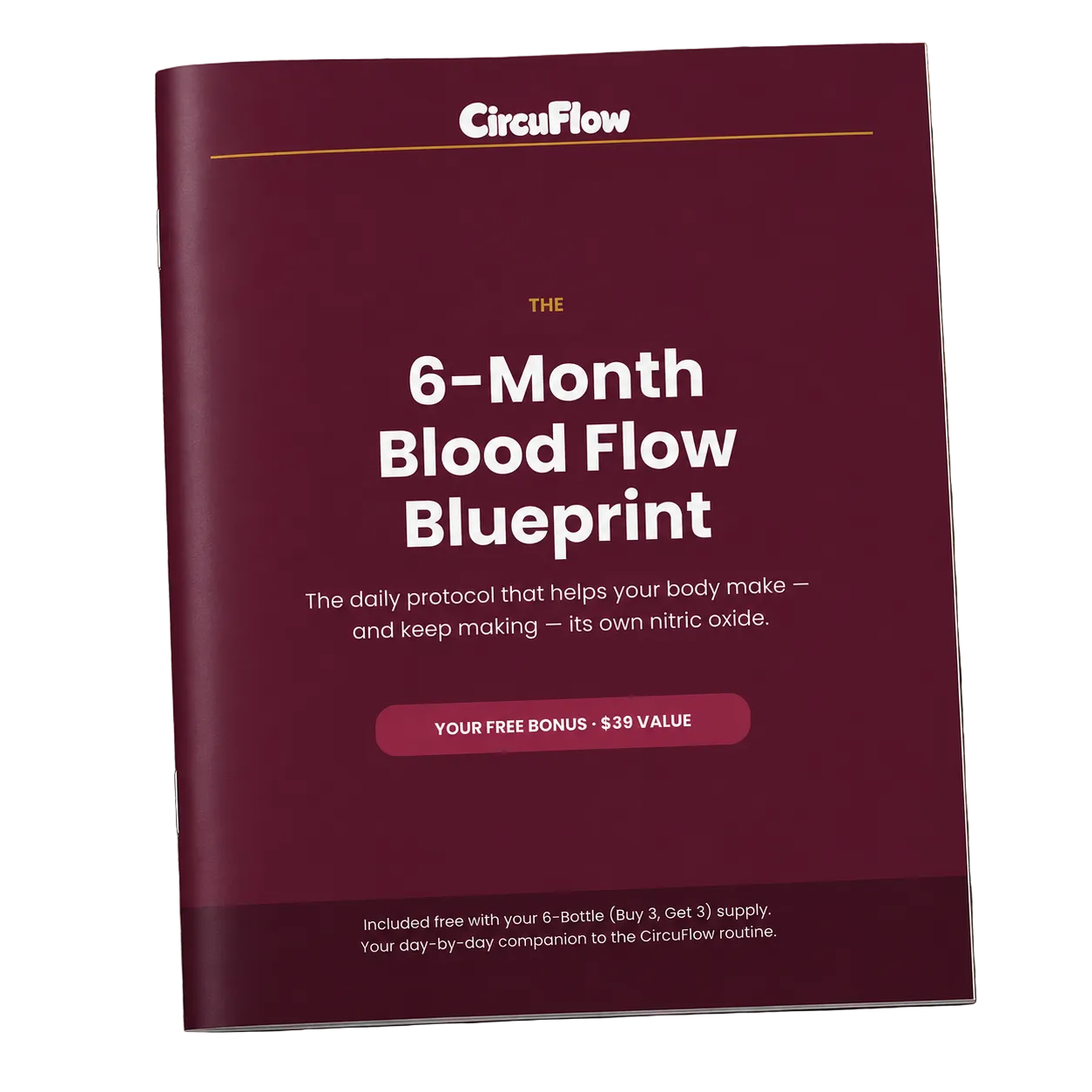6-Month Bloodflow Blueprint